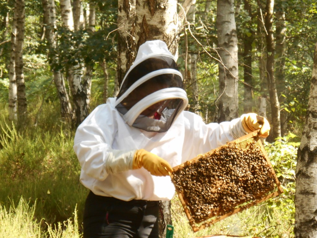 Laure installe la ruche