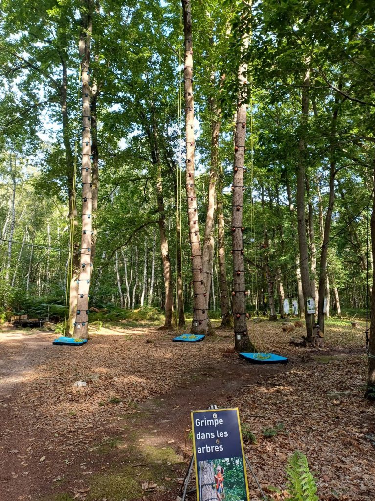 Site Forêt